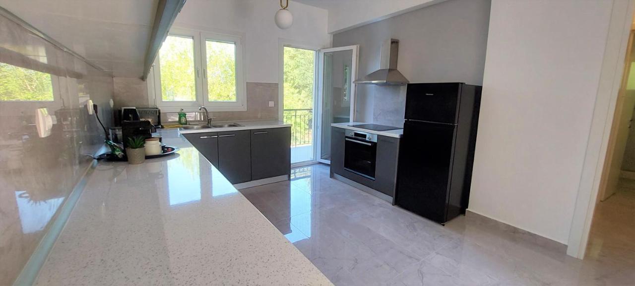 Casa Elegante Villa Potamos  Bagian luar foto